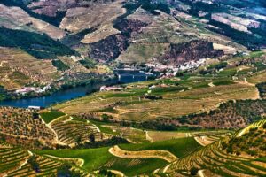 Douro Valley Wine Region View 6