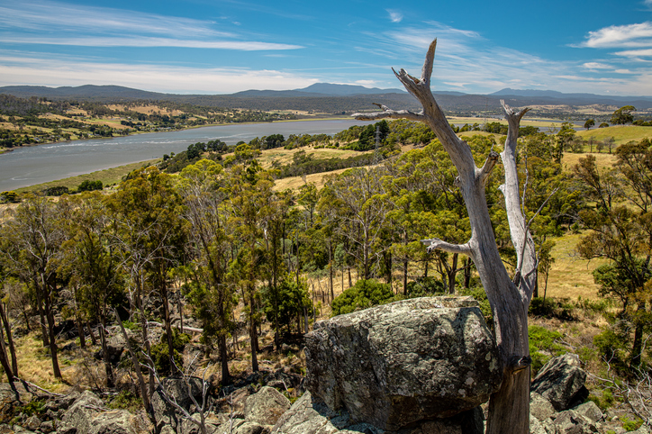Looking out over the Tamar River.
