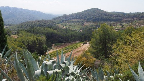 The views from Chateau de Pibarnon in Bandol, France. | Winetraveler.com