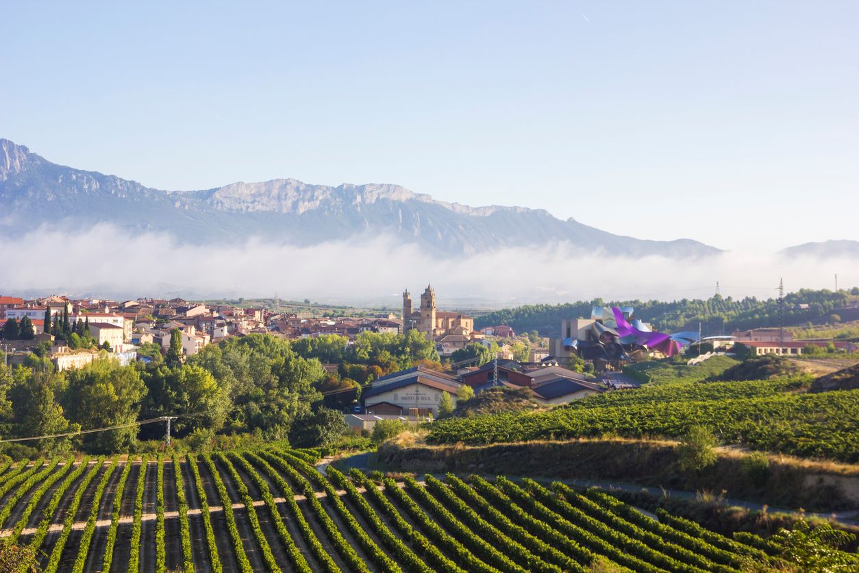 Vineyards and Wineries in Spain: Rioja Wine Region