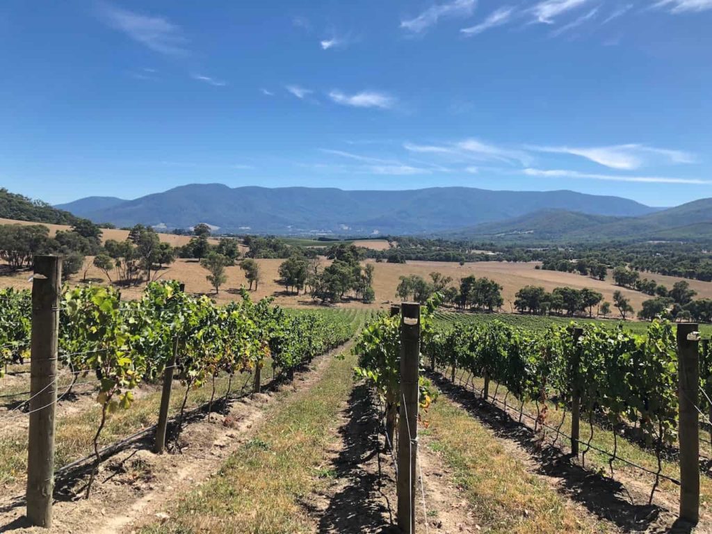 Yarra Valley Itinerary and Travel Guide | Winetraveler.com